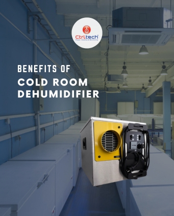 Best dehumidifier for cold room